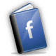 Facebook Pages Search Tool